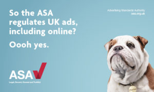 ASA public facing campaign featuring Churchill the dog